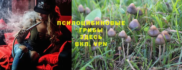 ALPHA-PVP Богородицк