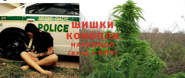 сатива Белоозёрский