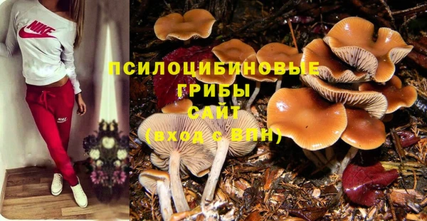 ALPHA-PVP Богородицк