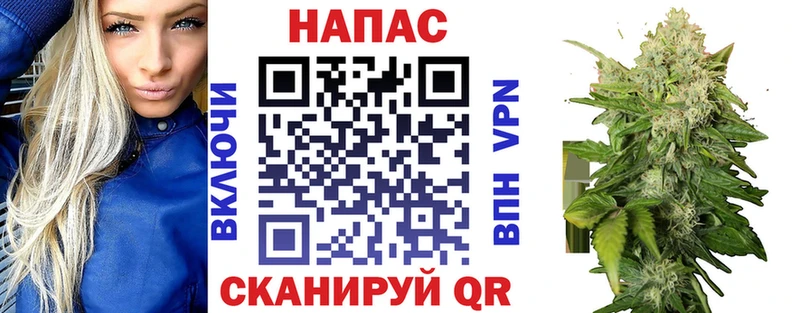 где продают наркотики  Бронницы  Бошки марихуана семена 